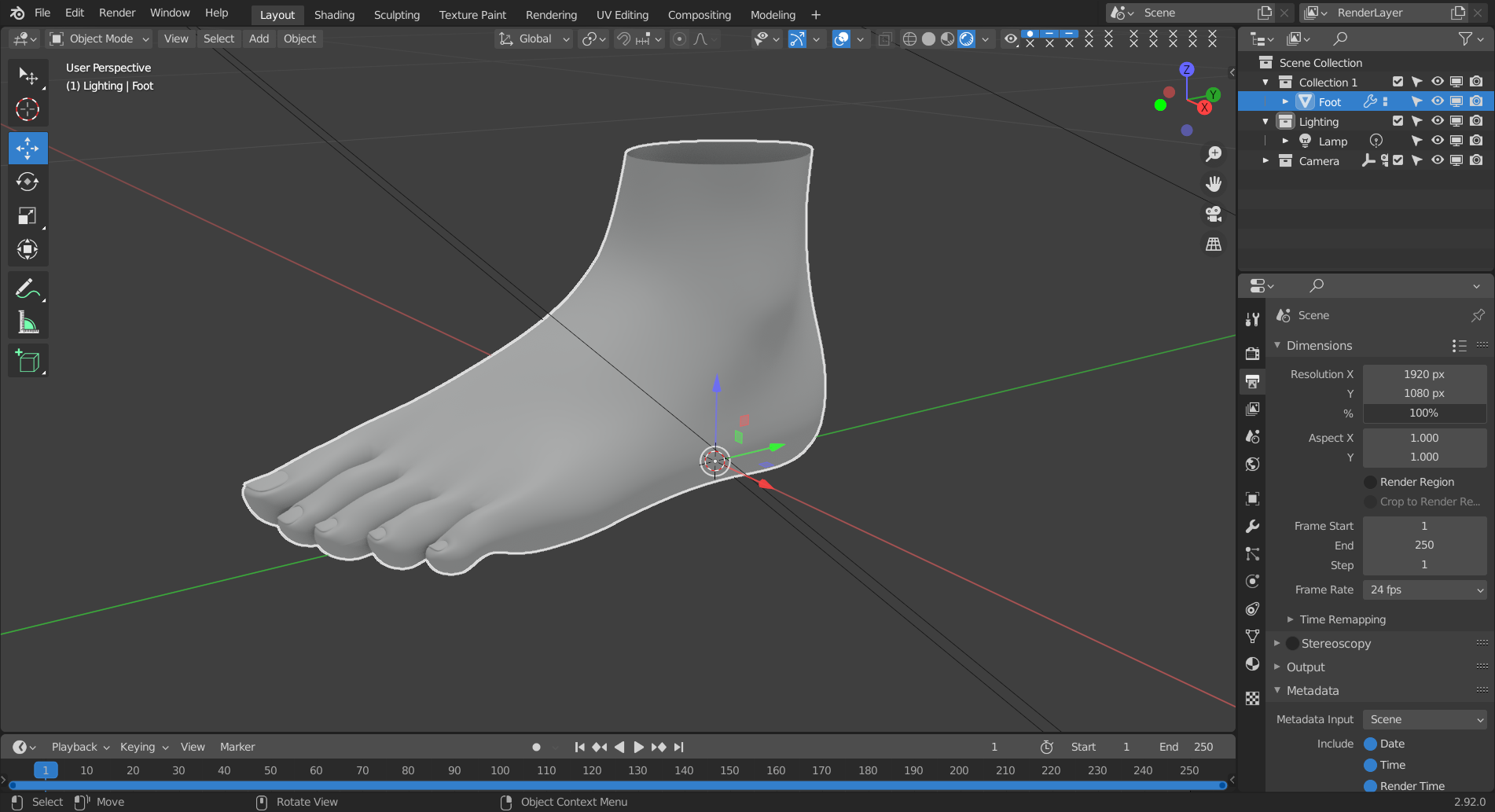 Foot Topology - CGCookie style (CC0) preview image 2